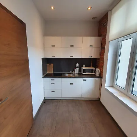 Mlynska 4 Apartment Gliwice