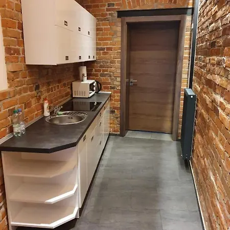 Apartment Mlynska 4 Gliwice