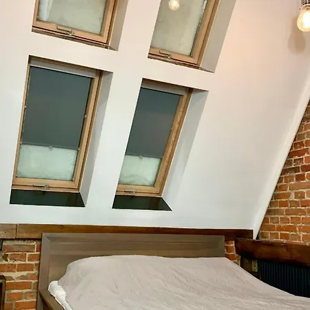 Apartment Mlynska 4 Gliwice