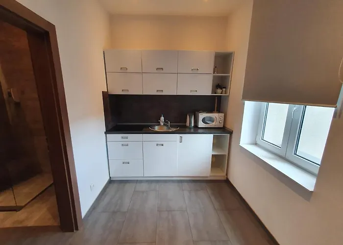 Appartement Mlynska 4 Gliwice